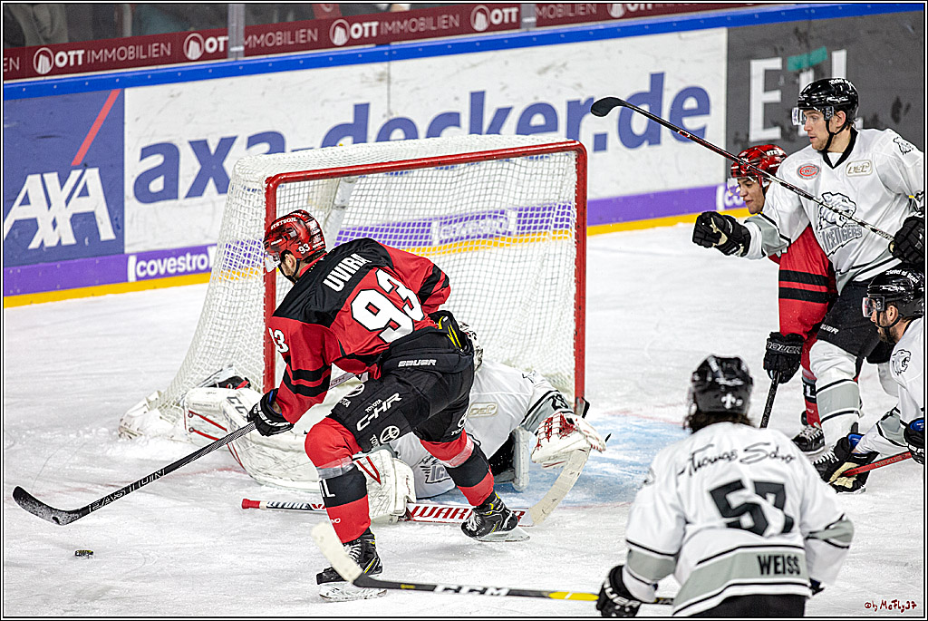 DEL; Koelner Haie - Thomas Sabo Ice Tigers Nuernberg, 19.02.2019